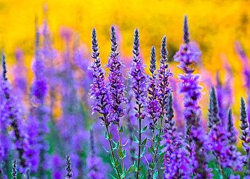 《你好邻居2》将登陆PS4和PS5 B测4月7日上线