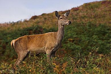 免费动作角色扮演游戏《十三月》10月12日发售 支持中文