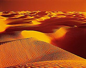 《Bombergrounds》开发工作室筹款120万美元加速开发