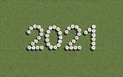 《碧海黑帆》核心特性与配置参考 11月8日发售