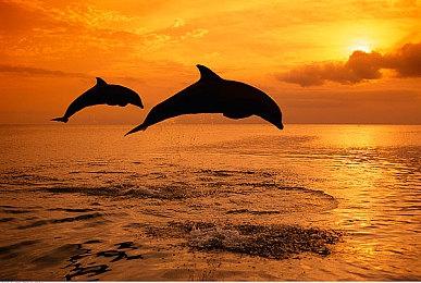 《Rise of Industry 2》Steam页面上线 支持简体中文